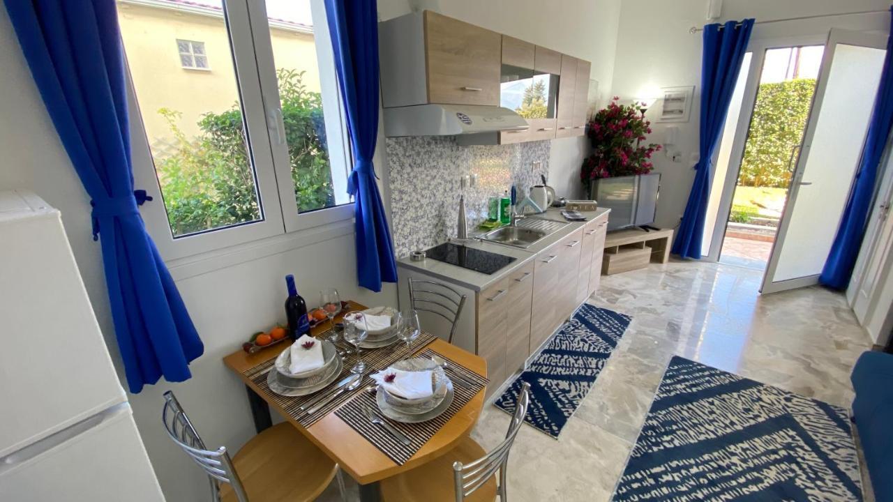 Apartment Blue